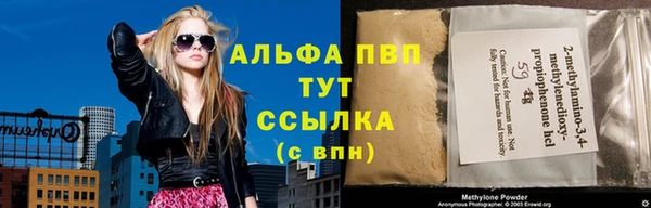 прущие грибы Алзамай