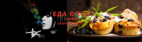 прущие грибы Алзамай