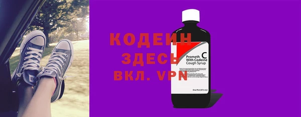 прущие грибы Алзамай