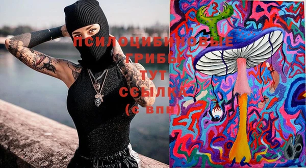 прущие грибы Алзамай