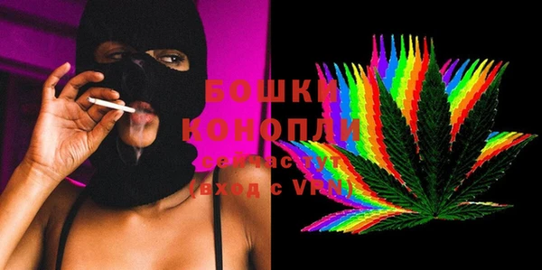 прущие грибы Алзамай