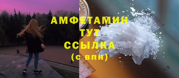 прущие грибы Алзамай