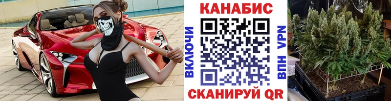 Канабис гибрид Углич